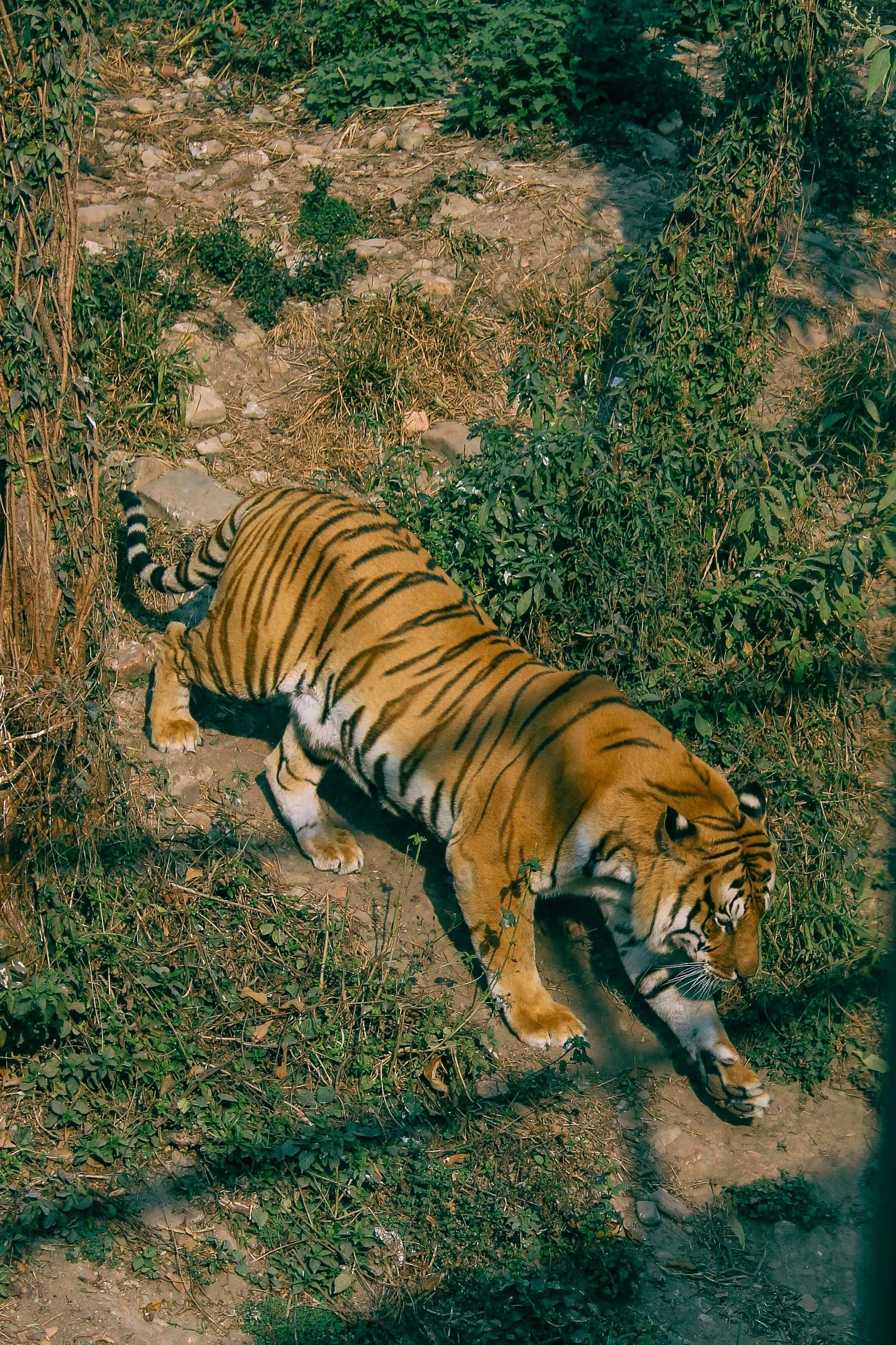 image3